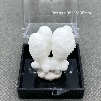 100% Натурален гидрозинцит Проба минерал камък Кристал цвете проба на минерала и камъни и кристали + Размер на кутията: 35 *35*35 мм