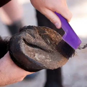 Полироль и четки за копитата на кон 2 в 1 Цветна приема за копита с ергономична дръжка за аксесоари за почистване на коне и грижите за тях