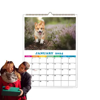 Стенен календар за кучета в 2024 година, Сладък Животни за всеки ден, Стенен календар във формат А4, Календар за кучета, Ежедневна Декор на стените за апартамент, хотел